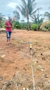 survey geolistrik kalimantan