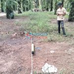 jasa geolistrik ketapang